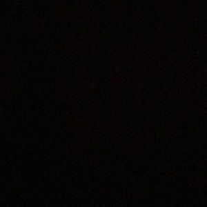 Meet your Posher, Lily